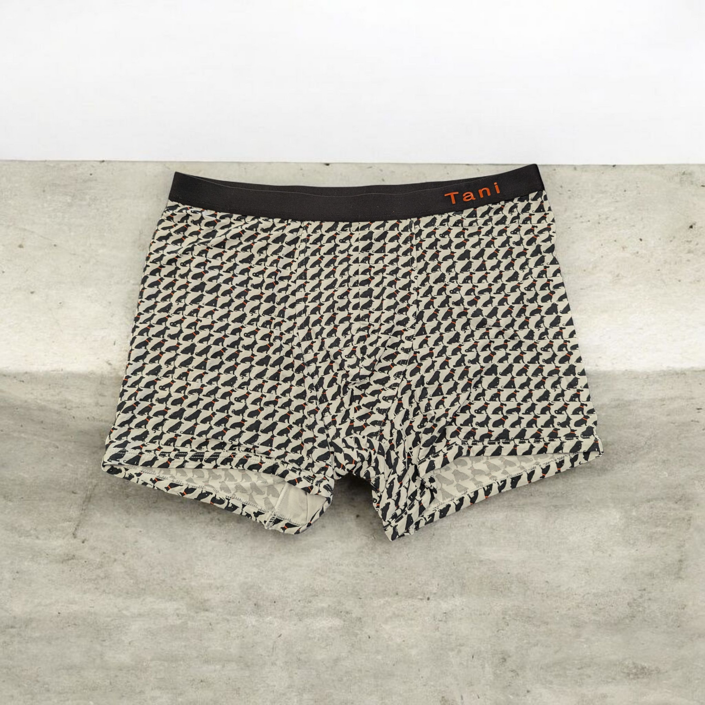 Tani Men's Trunks Patterns