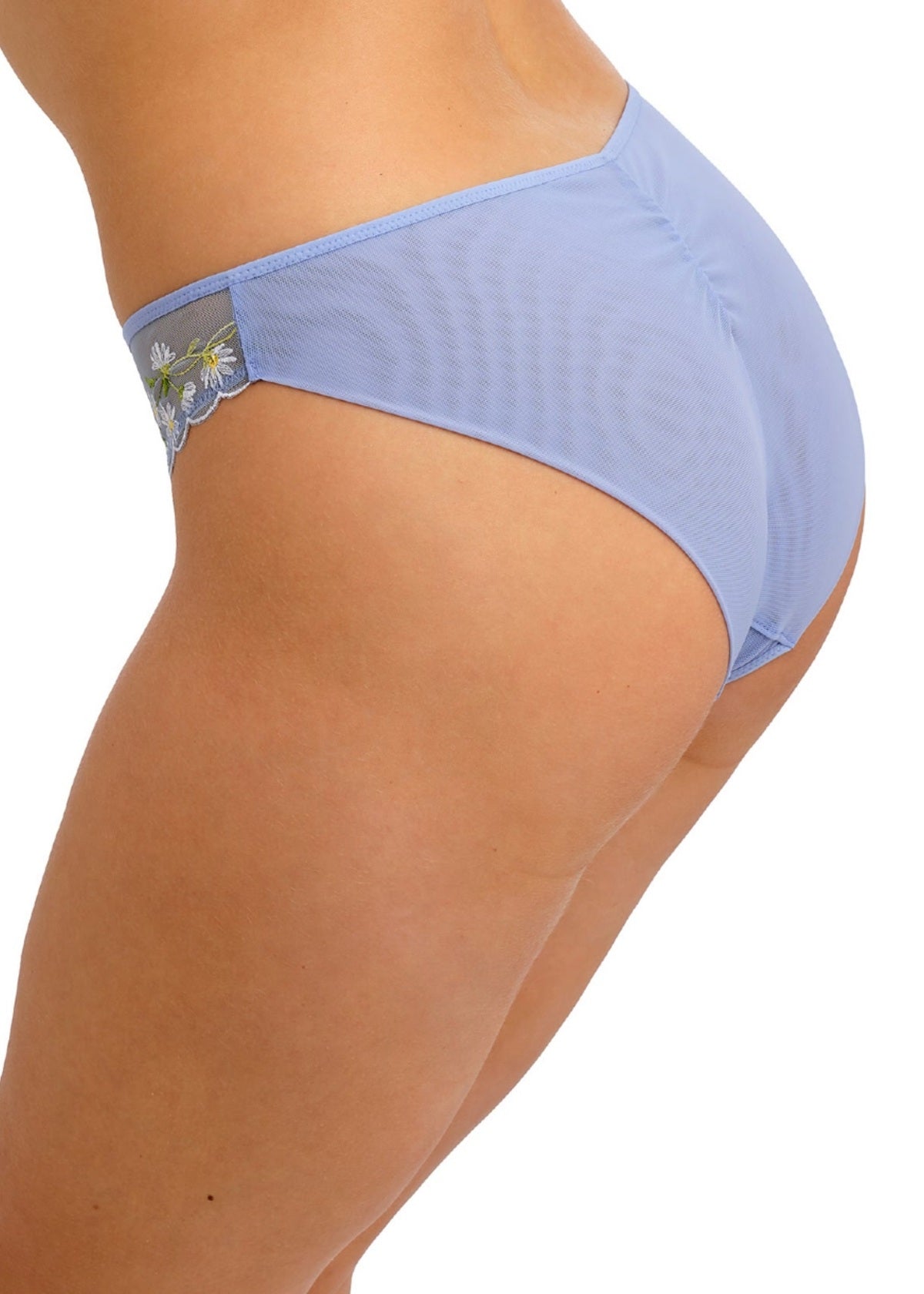 Entwined Daisy Brief