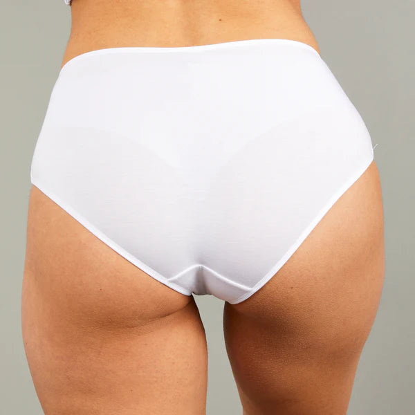 Full Brief Tani