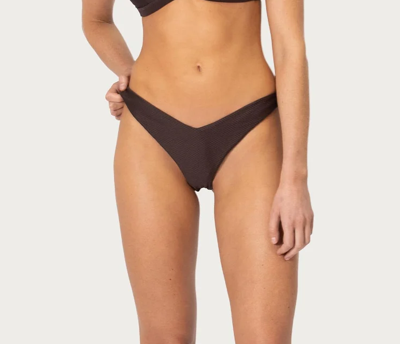 Rococco Brazilian Bikini Bottom in Cocoa